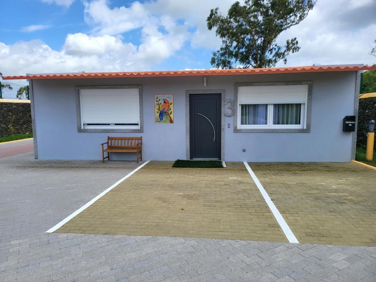 Parrots'Village Rabo de Peixe Екстериор снимка