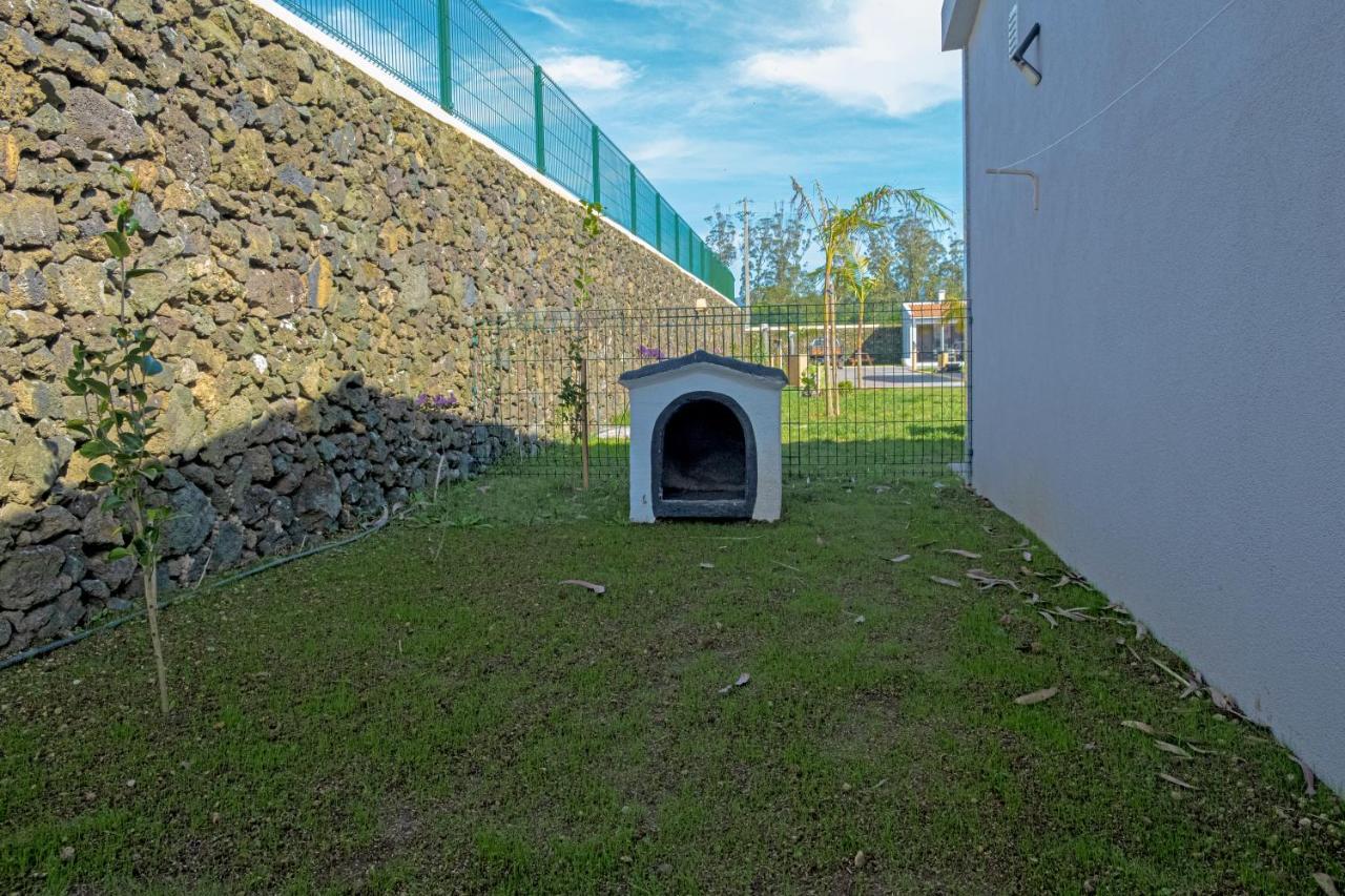 Parrots'Village Rabo de Peixe Екстериор снимка